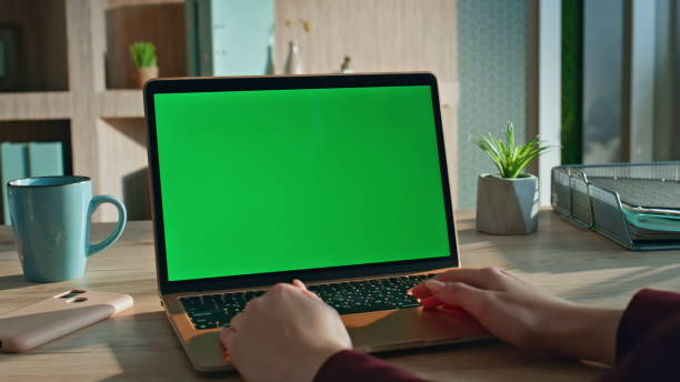 istock Business lady looking greenscreen laptop checking schedule at office close up. 2170501077