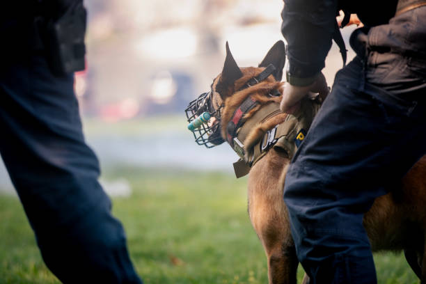istock Police patrol with dog 2170501484