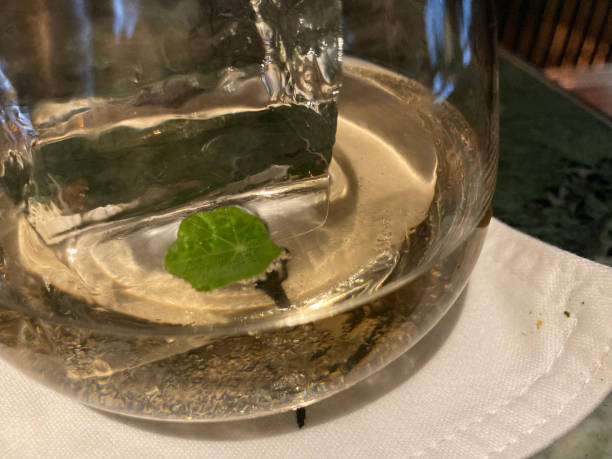 istock cold cocktail with rocks and big cube of ice 2170504366