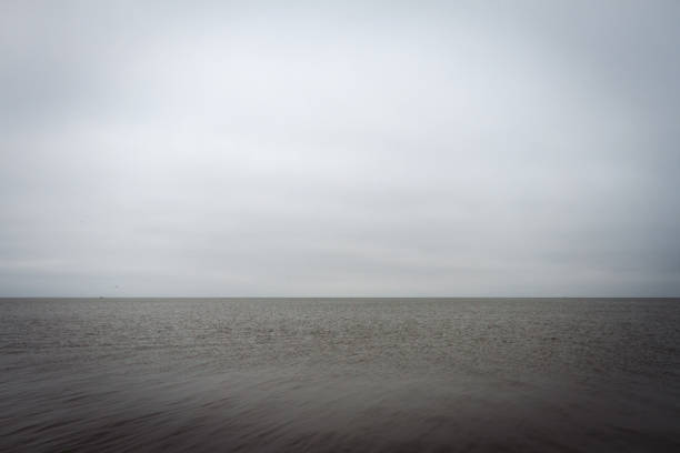 istock Landscape at the Curonian Lagoon 2170506878