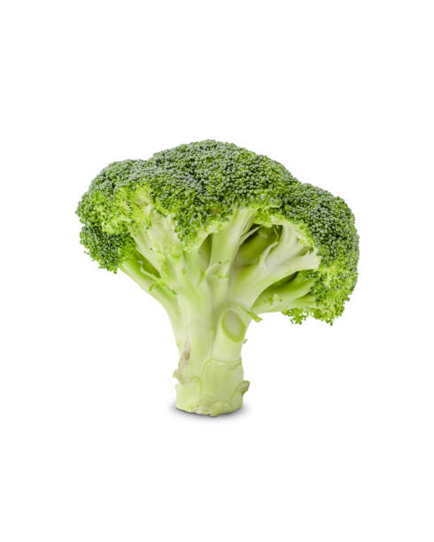 istock Fresh broccoli isolated on white background for cooking 2170510195