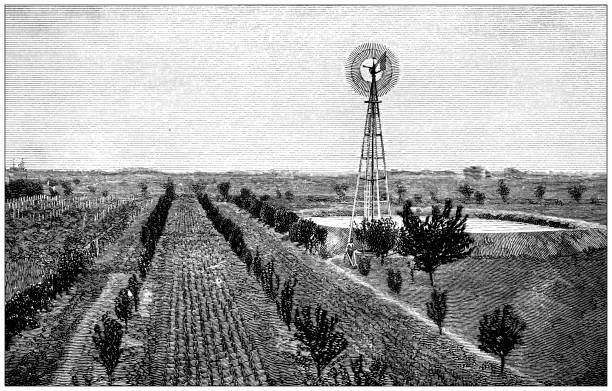 ilustrações de stock, clip art, desenhos animados e ícones de antique illustration: prairie plains, kansas - kansas