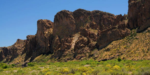 istock Salt River Recreation Area Arizona 2170520872