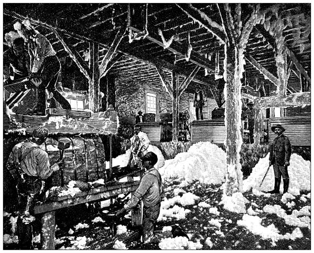 Antique Illustration: Baling cotton, Memphis, Tennessee