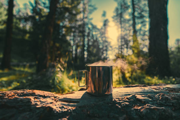istock Metal mug with hot coffee in morning summer forest 2170528502