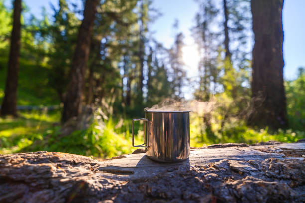 istock Metal mug with hot coffee in morning summer forest 2170528546