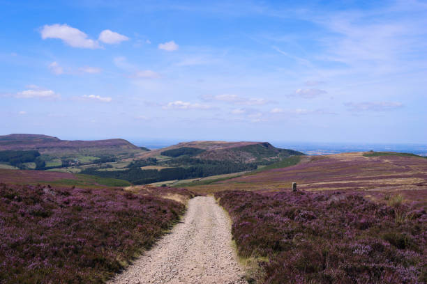 istock Path leading across purple heather moorland 2170529054