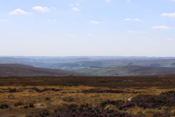 istock View across heather moorland in summer sunshine 2170529585