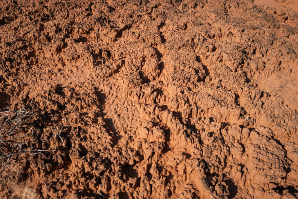 Dirt, dust or gravel road surface. Background and texture ground photo.
