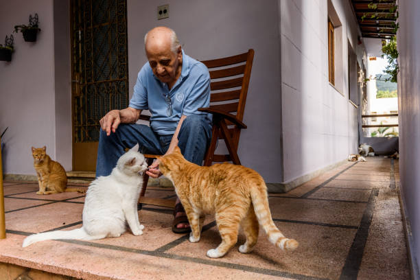 Portrait of pets and their humans