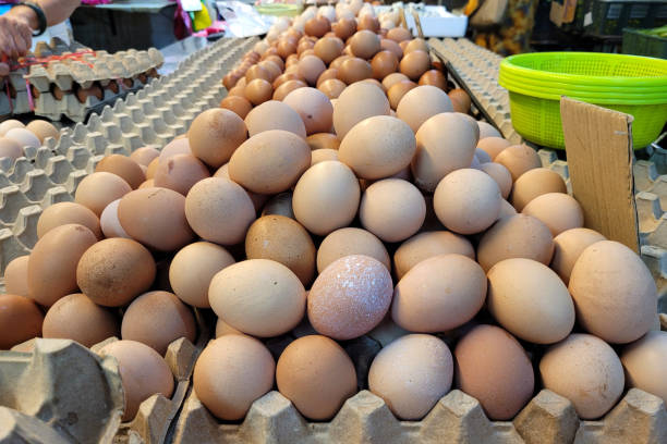 istock Fresh Brown Eggs at the Market Stall 2170542552