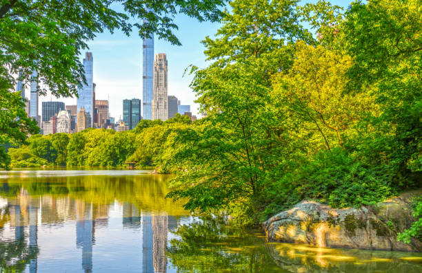 istock Central Park New York in spring 2170554697