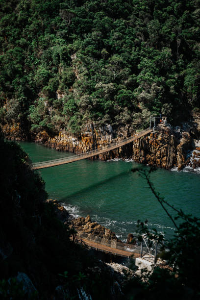 istock tsitsikamma national park 2170556319