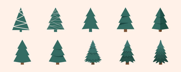 Christmas trees. Christmas trees set. Modern flat design. Vector Christmas trees. Christmas trees set. Modern flat design. Vector christmas tree stock illustrations