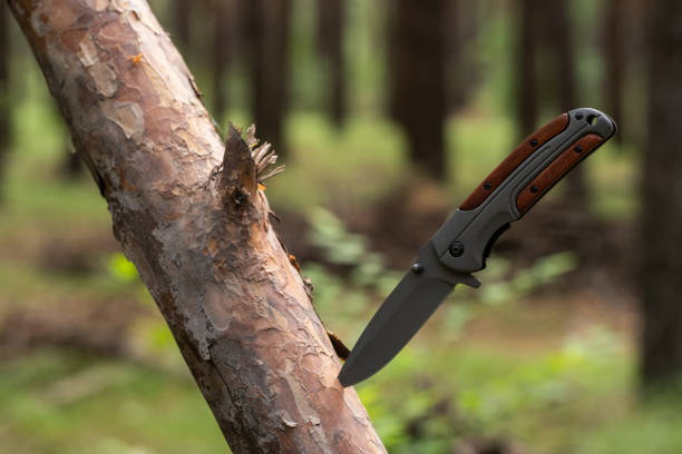 istock Hunting knife on a branch of a tree in the forest. 2170562886