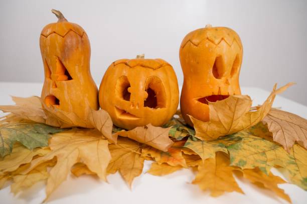 istock Group of jack-o-lantern on maple leaves. Halloween decoration on a white background. 2170565657