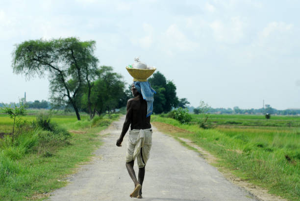 Bihar, India-October 19, 2010: An elderly man carries a basket on his head along a rural road, surrounded by lush greenery.