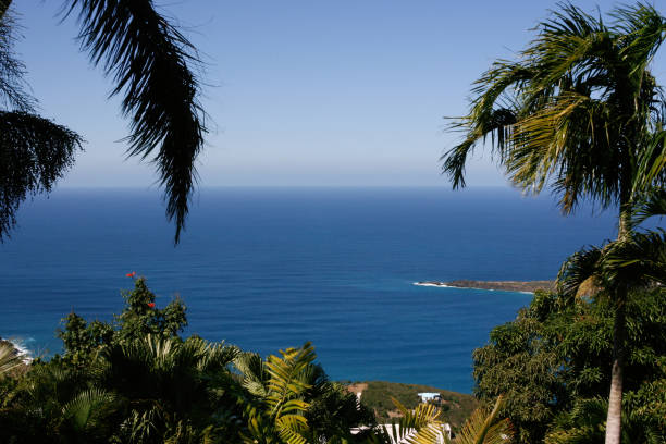 Beautiful View of St. Thomas from Scenic Overlook