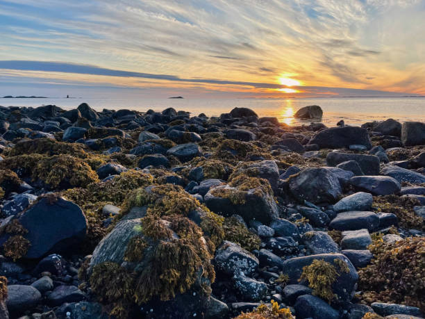 istock Sunset with low tide on the Norwegian Sea 2170575219