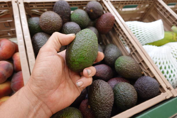 istock Hand Holding Fresh Avocado at Market 2170578306