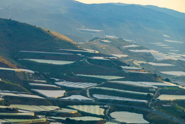 istock Plastic greenhouses on coast, Spain 2170578679