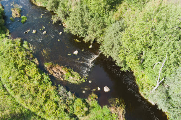 istock Shallow water on the Pirita River. 2170578862