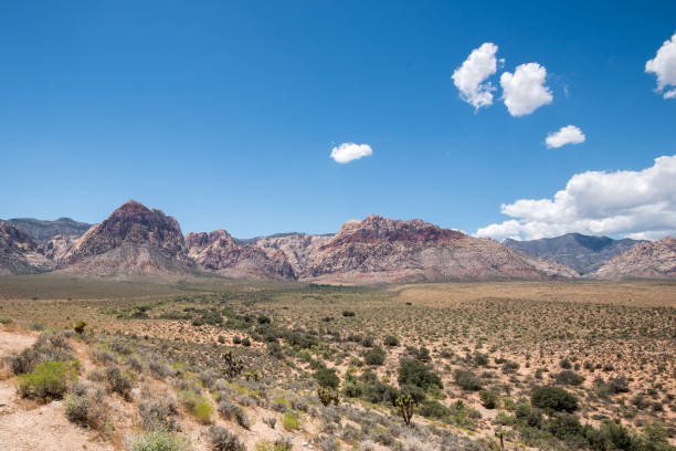 istock Red Rock Canyon Nevada 2170584025