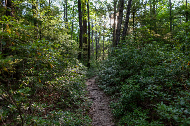 istock Shawangunk Ridge, New York, USA 2170584032