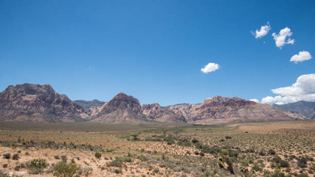 istock Red Rock Canyon Nevada 2170584037