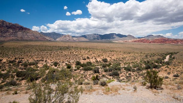 istock Red Rock Canyon Nevada 2170584054