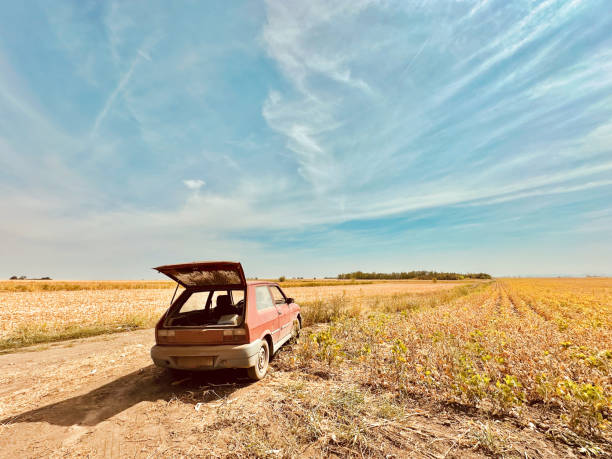 Small junk car in the crop field during summer harvest in the crop field during summer harvest in  Serbia.