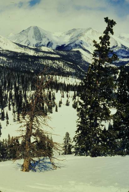 istock Cameron Pass Ski Touring Jackson County Colorado February 1982 2170586711