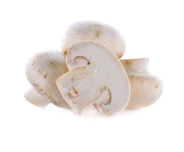 istock Champignon mushroom isolated on white background 2170588806