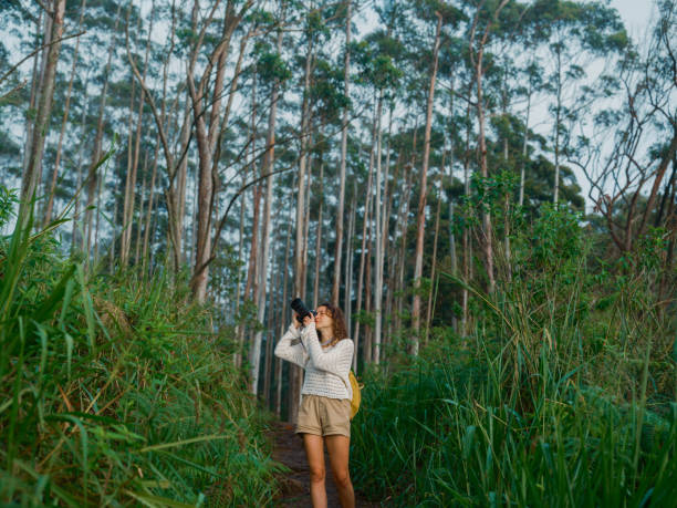 istock Woman with camera hiking through tropical forest covered with fog 2170591319