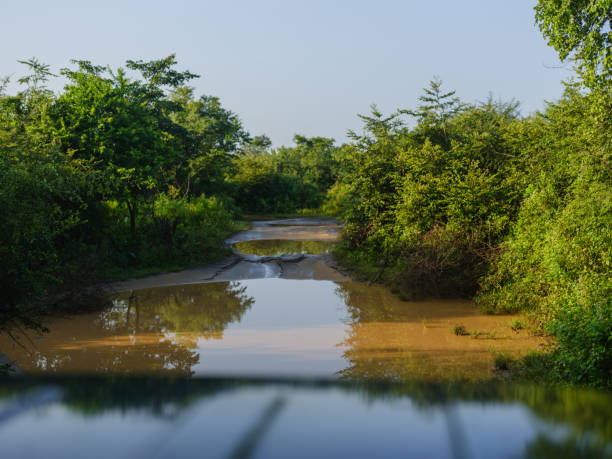 4x4 off-road vehicle crossing muddy river during safari in Sri Lank