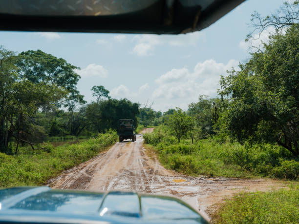 istock 4x4 off-road vehicle crossing muddy river during safari 2170592356