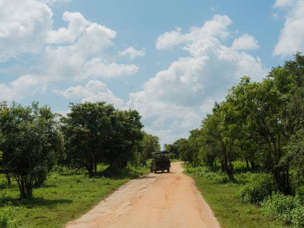 istock off-road vehicle on road through Yala National Park 2170592563