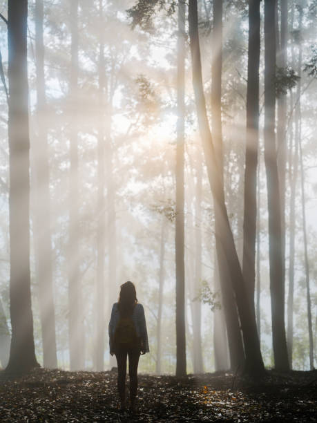 istock Woman walking through eucalyptus forest in fog 2170592867