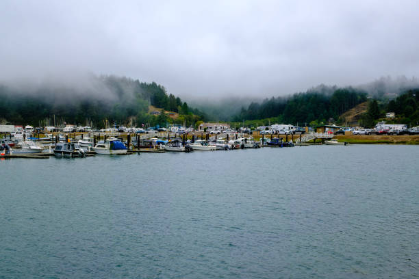 Fog and mist at Salmon Harbor Winchester Bay Oregon