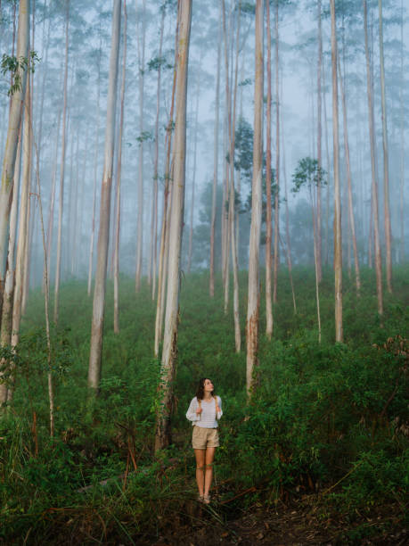 istock Woman walking through eucalyptus forest in fog 2170593305