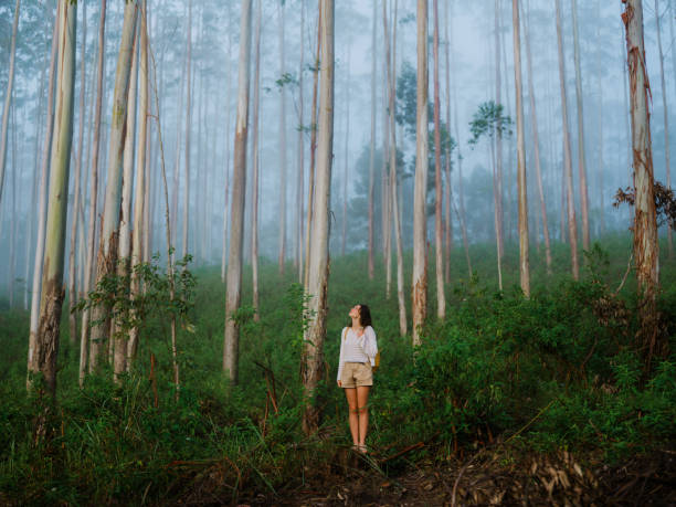istock Woman walking through eucalyptus forest in fog 2170593376