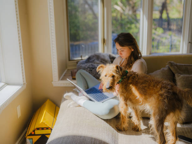 Woman cuddling with dog on the sofa using laptop on sunny afternoon