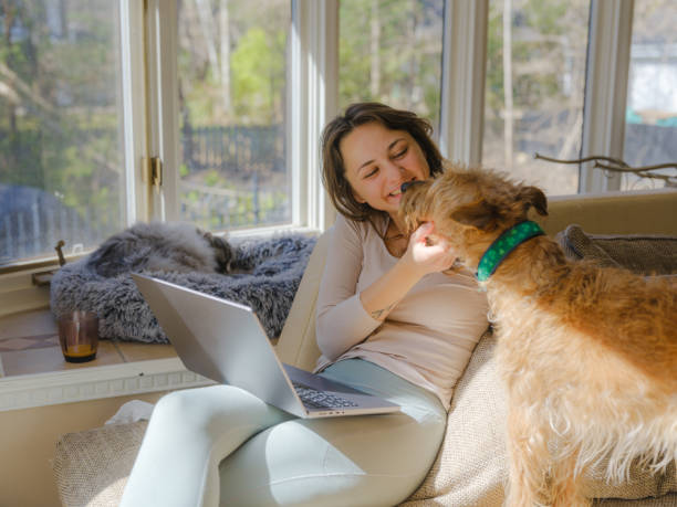 istock Woman cuddling with dog on the sofa using laptop on sunny afternoon 2170593483