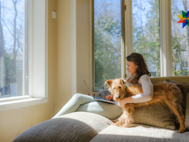 istock Woman cuddling with dog on the sofa using laptop on sunny afternoon 2170593525