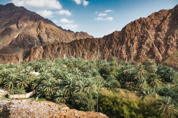 istock Nahwa Oasis UAE United Arab Emirates 2170593537