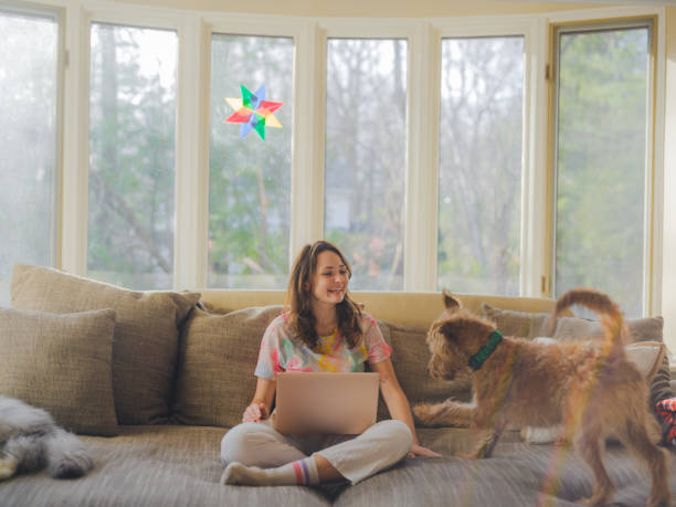 istock Woman cuddling with dog on the sofa using laptop on sunny afternoon 2170593582