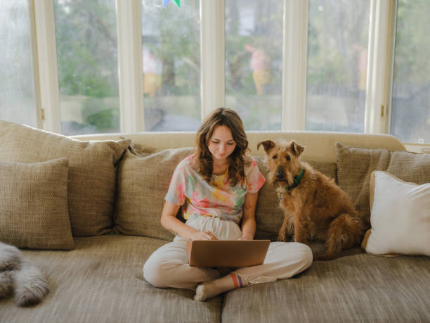 istock Woman cuddling with dog on the sofa using laptop on sunny afternoon 2170593593