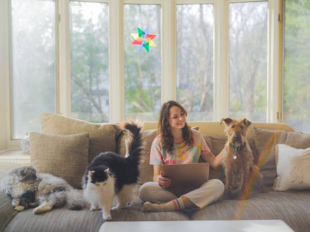 istock Woman using laptop on sunny afternoon at home surrounded by her pets 2170593603