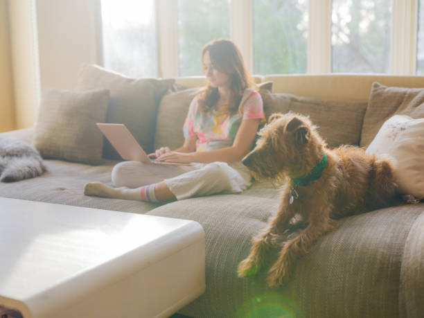 istock Woman using smartphone sitting on the sofa beside the dog 2170593606