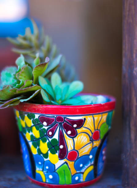 Santa Fe Style: Mexican Talavera Pot with Cactus Close-Up